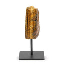 Gold Tigers Eye - The Stone Of Courage (405g)