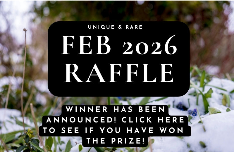 February 2026 Raffle Winner