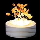 Grounded Strength Crystal Tree Light - Red Agate
