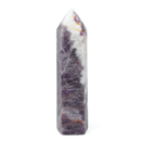 Amethyst Point (564g)