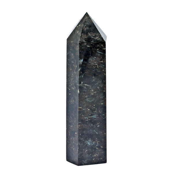Astrophyllite Cosmic Spire (667g)