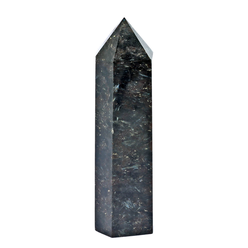 Astrophyllite Cosmic Spire (667g)