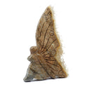 Clear Quartz Butterfly Cluster (122g)