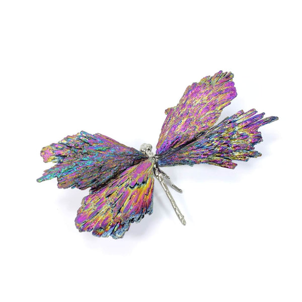 Black Tourmaline Electroplated Dragonfly (74g)