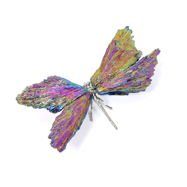 Black Tourmaline Electroplated Dragonfly (69g)