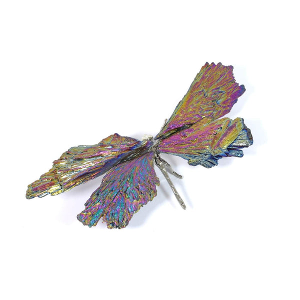Black Tourmaline Electroplated Dragonfly (73g)