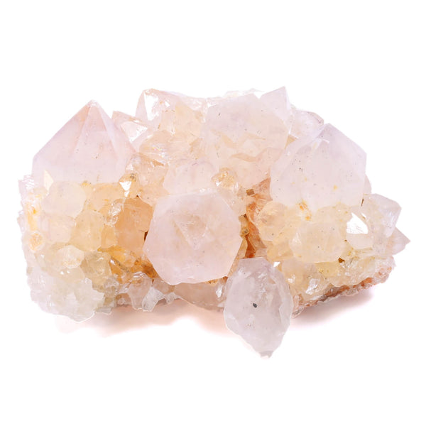 Cactus Spirit Quartz - Your Full Moon Ritual Must Have! (227g)