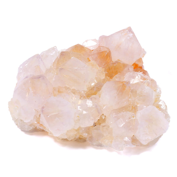 Cactus Spirit Quartz - Your Full Moon Ritual Must Have! (326g)