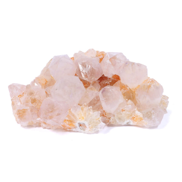 Cactus Spirit Quartz - Your Full Moon Ritual Must Have! (486g)