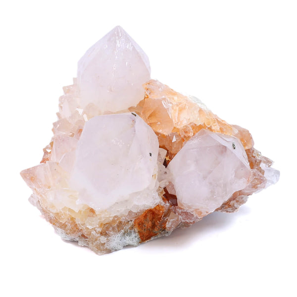 Cactus Spirit Quartz - Your Full Moon Ritual Must Have! (260g)