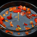 The Witching Hour - Crystal Infused Scented Candle