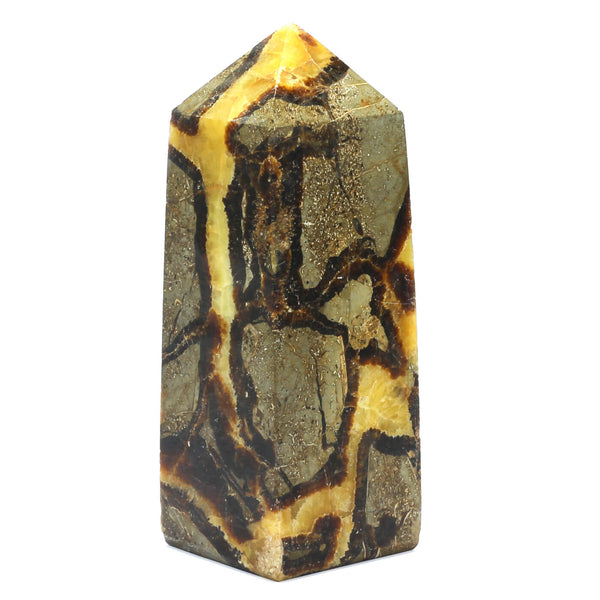 Septarian Point (1954g)