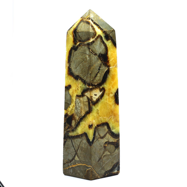 Septarian Point (2580g)