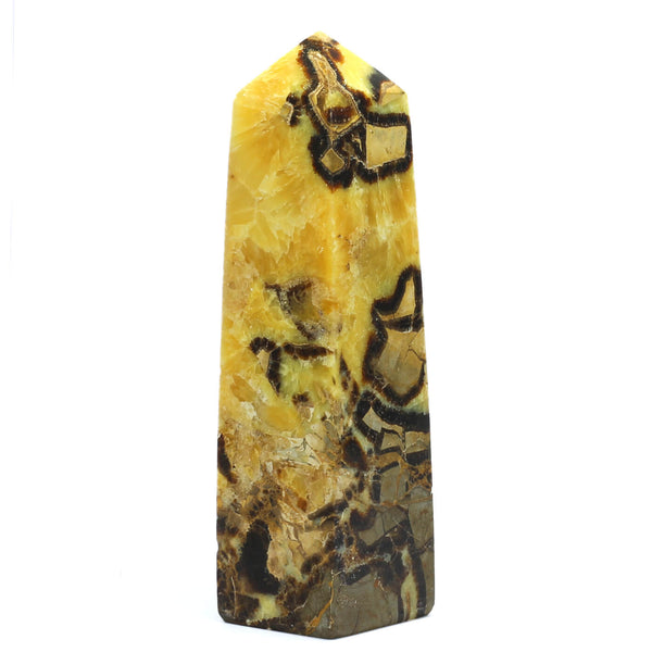Septarian Point (2308g)
