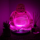 Laughing Buddha Lamp - Dragonfruit