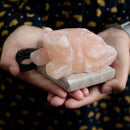 Multicolour USB Toad Shaped Himalayan Salt Lamp - 10.5cm
