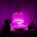 Meditation Buddha Lamp - Cherry Crackle