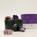 Hop Hare Crystal Floral Diffusers + Fragrance Oil