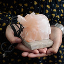 USB Elephant Himalayan Salt Lamp - 7.5cm
