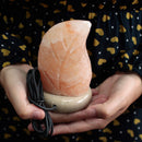 Multicolour USB Leaf Shaped Himalayan Salt Lamp - 10.5cm