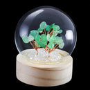 Growth & Positivity Crystal Tree Light - Green Aventurine