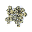 Healing Mini Mushroom Crystal - Dalmation Jasper