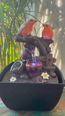 Robins Water Fountain