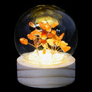Grounded Strength Crystal Tree Light - Red Agate