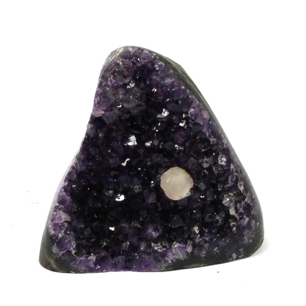Polished Amethyst Cluster (594g)