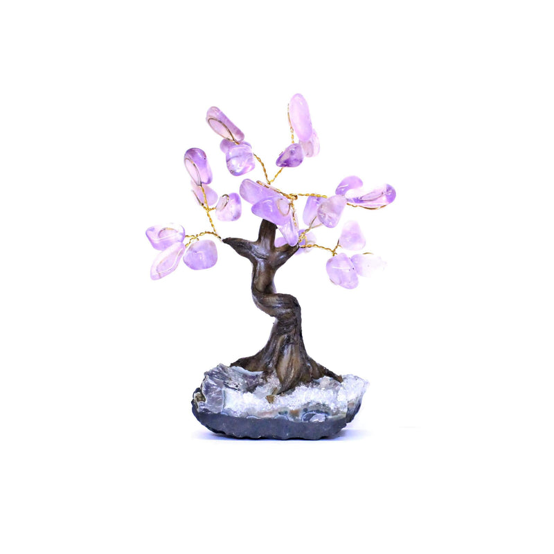 Amethyst Bonsai Tree - Medium