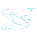 Angel Guidance - Mini Email Reading By Jillian Duncan