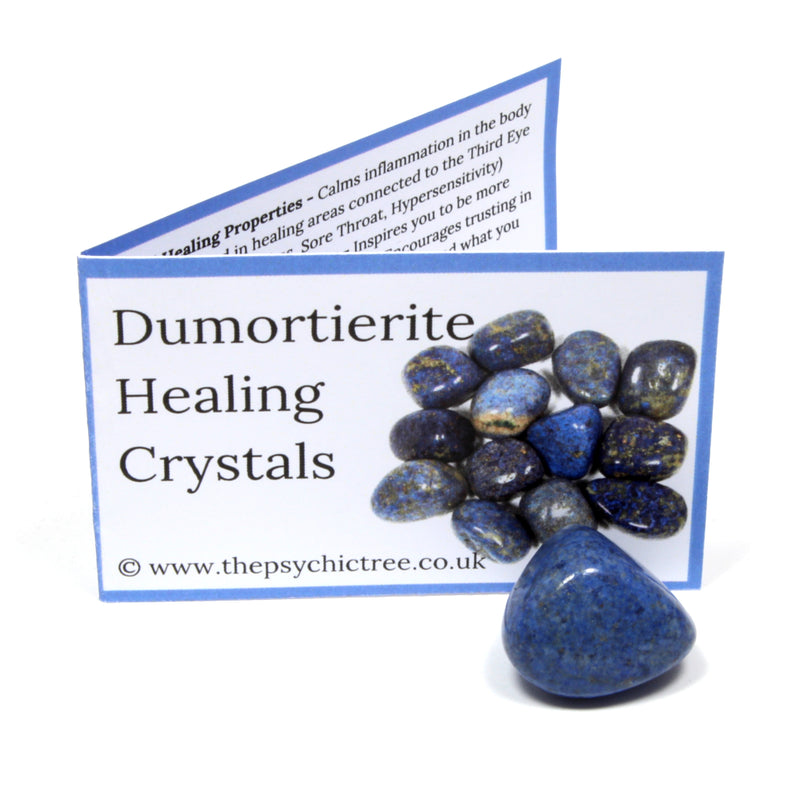 Dumortierite Crystal Guide Pack - Main Image