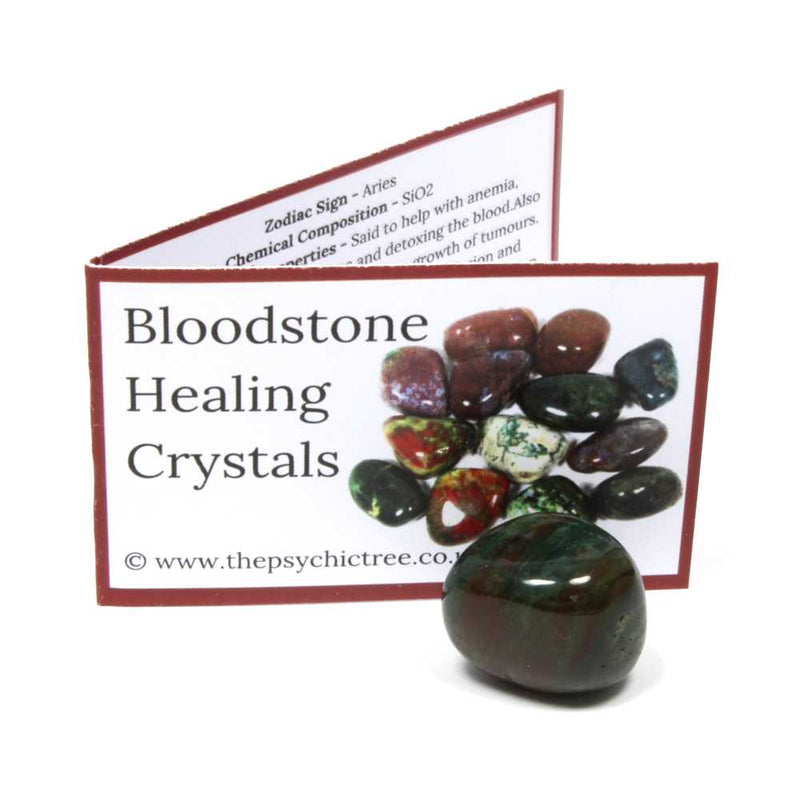 Bloodstone Polished Crystal & Guide Pack