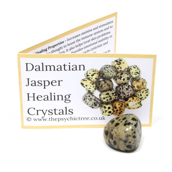 Dalmatian Jasper Crystal & Guide Pack