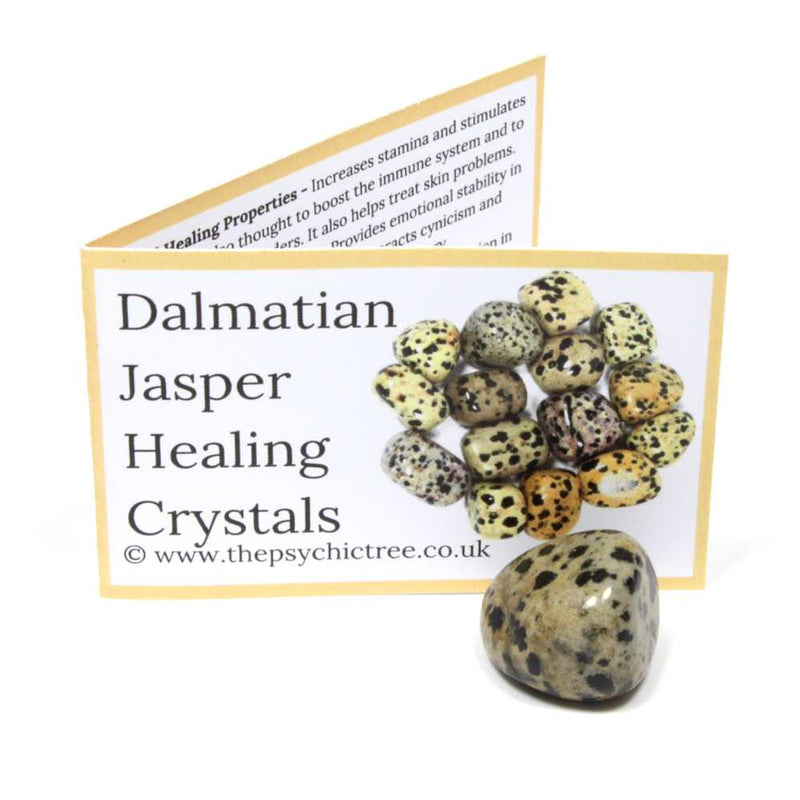 Dalmatian Jasper Polished Tumblestone Healing Crystals