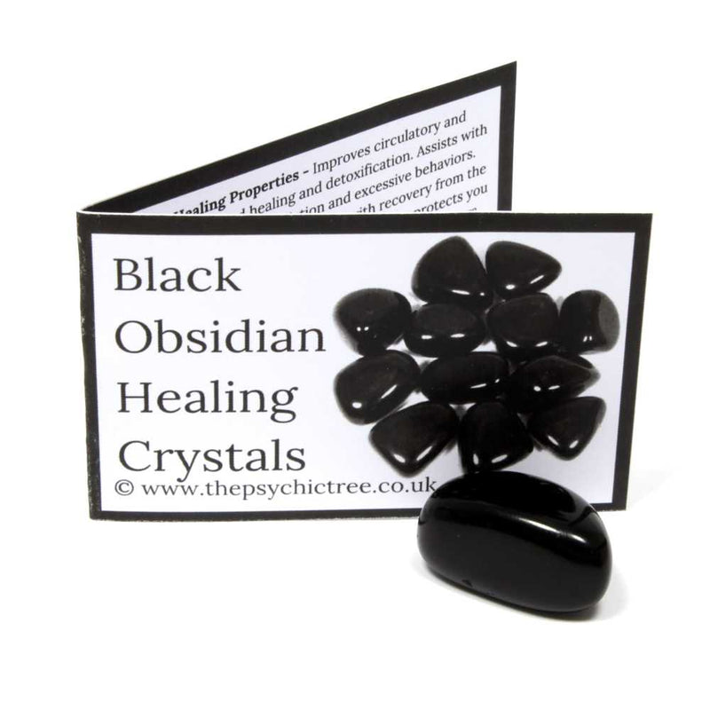 Black Obsidian Polished Crystal & Guide Pack