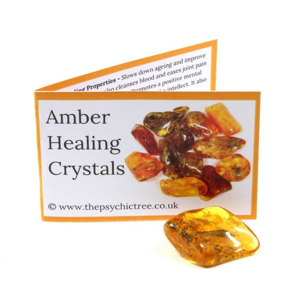 Amber Crystal & Guide Pack