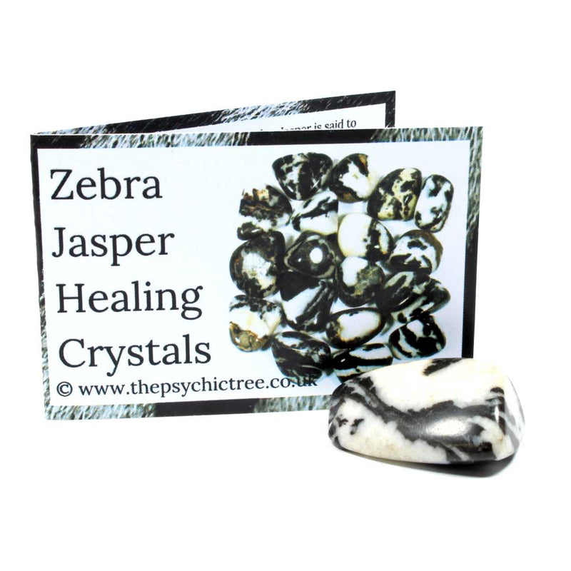 Zebra Jasper Crystal & Guide Pack