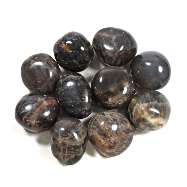 Black Moonstone Polished Tumblestone Healing Crystals