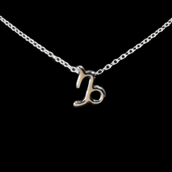 Capricorn Zodiac Silver Necklace