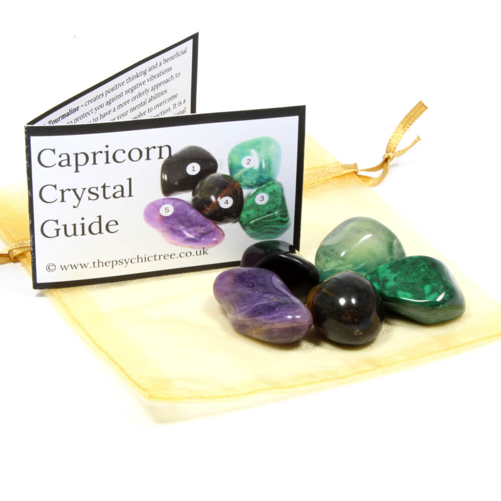 Capricorn Sign Of The Zodiac Healing Crystal Pack
