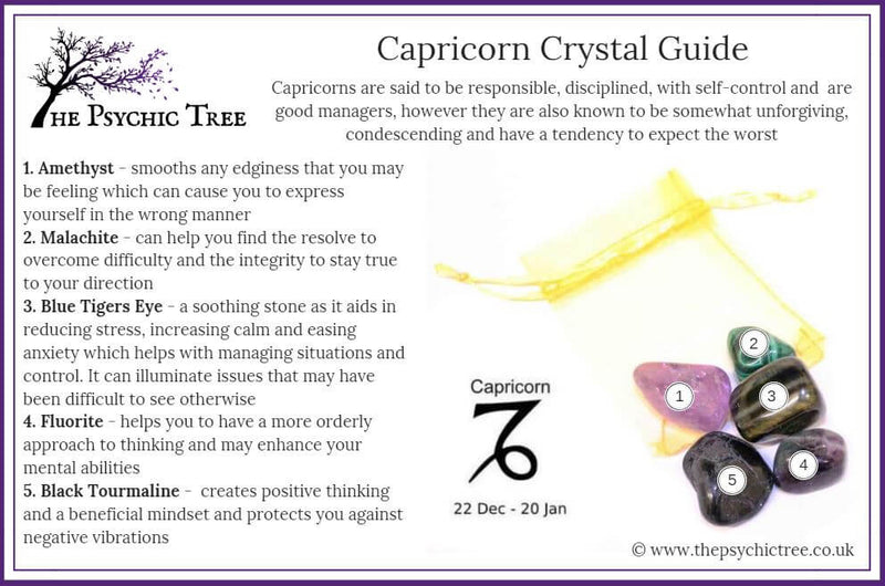 Capricorn - Sign Of The Zodiac Healing Crystal Pack