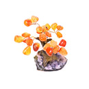 Carnelian Bonsai Tree