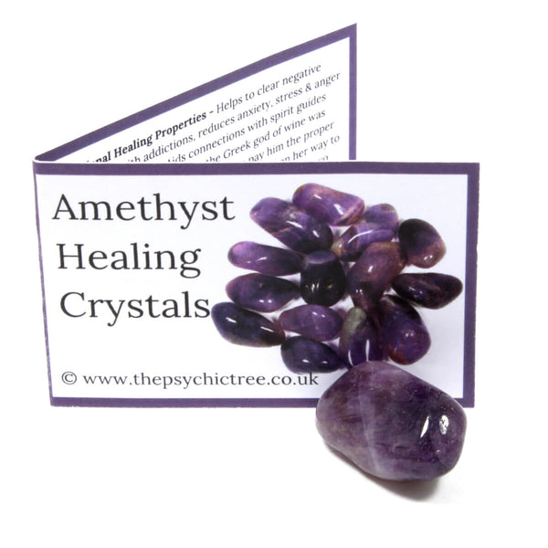 Amethyst Polished Crystal & Guide Pack