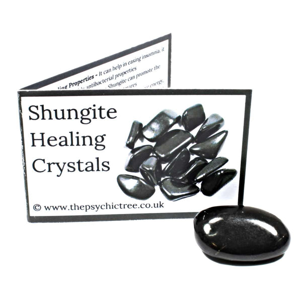 Shungite Polished Crystal & Guide Pack