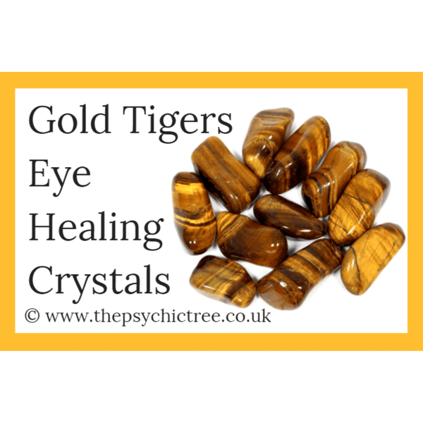 Gold Tigers Eye Guide Book