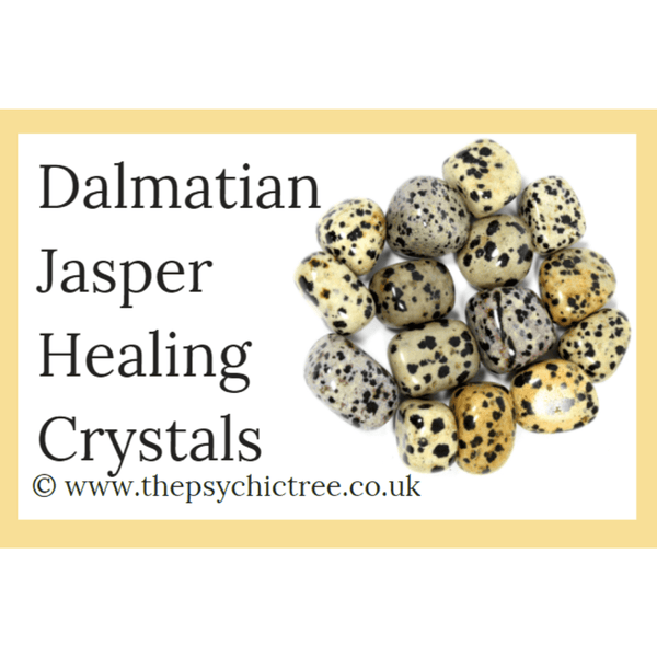 Dalmatian Jasper Guide Book