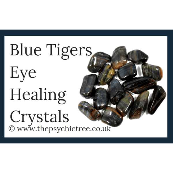 Blue Tigers Eye Guide Book