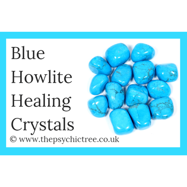 Blue Howlite Guide Book