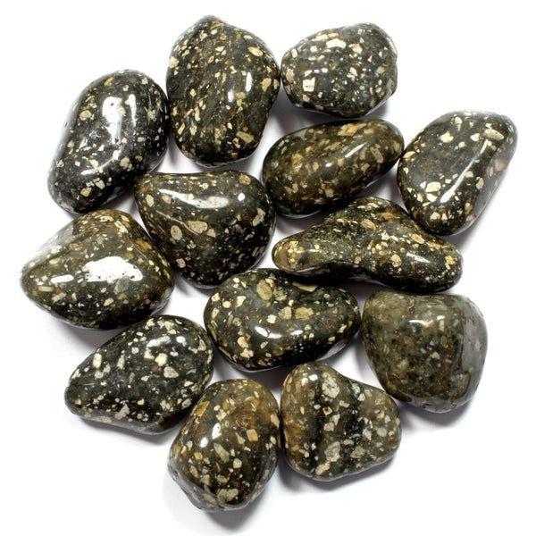 Guinea Fowl Jasper Polished Tumblestone Healing Crystal